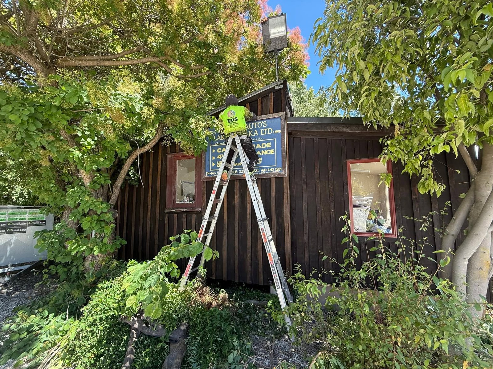 Cedar Deck Restoration